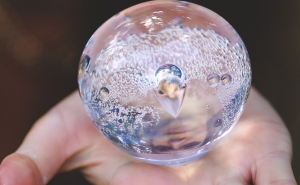 Property Predictions 2019